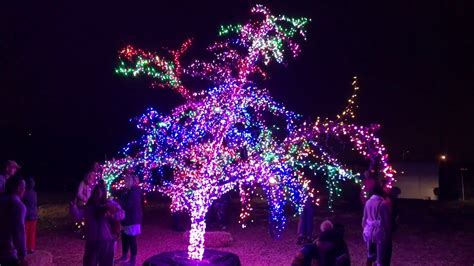 Magic christmas tree lees summit